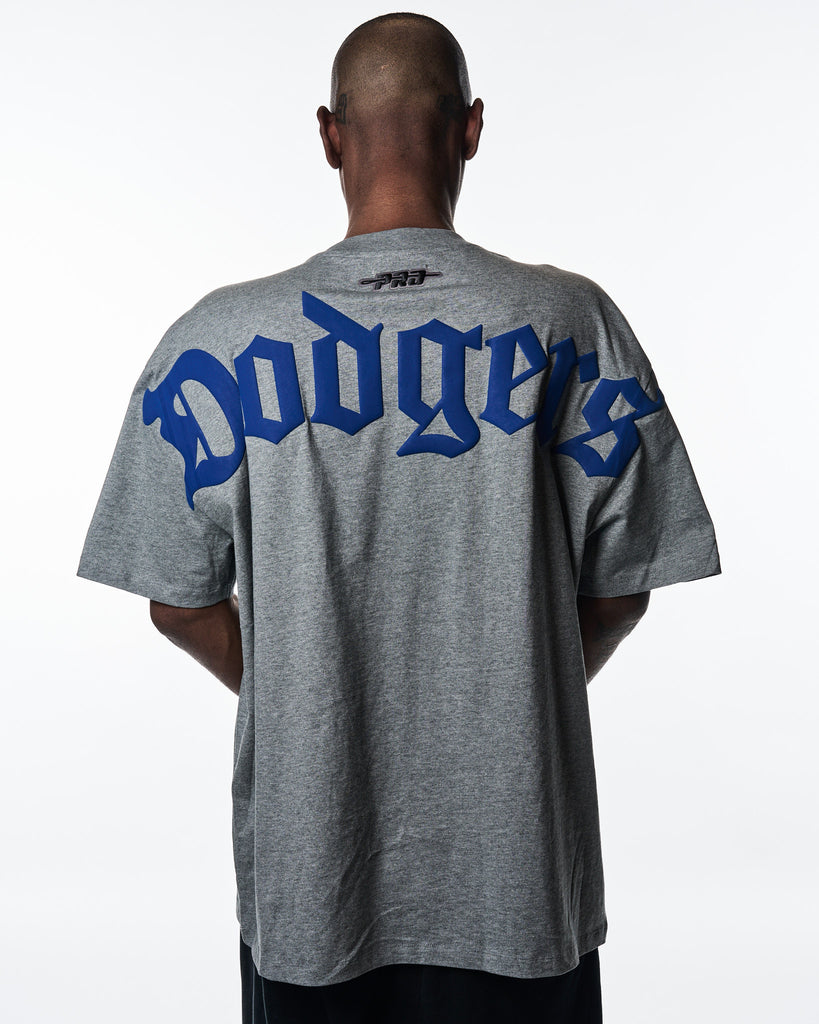 Los Angeles Dodgers ✨ DODGERLAND ✨ Wingspan Pro Standard Short Sleeve Tee - Grey