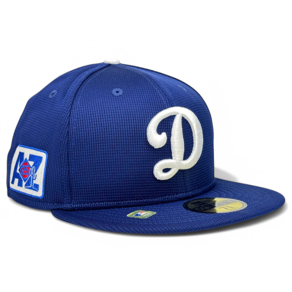 Los Angeles Dodgers New Era 2025 Spring Training 59FIFTY Fitted Hat