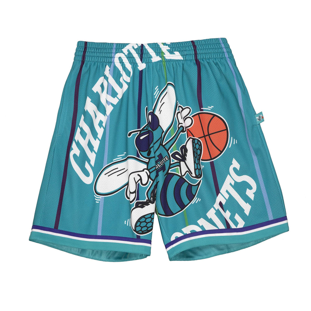 Charlotte Hornets Blown Out Mitchell & Ness Mesh Shorts - Teal